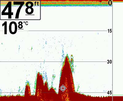 Fishfinder Showing Fish
