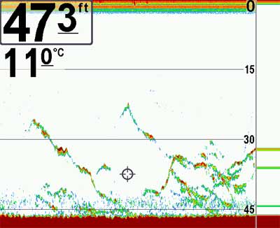 Lots of fish on Fishfinder