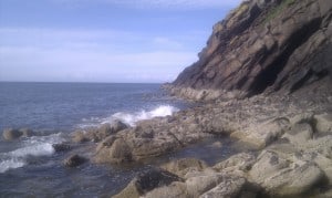 It Looks Like Good Bass Ground